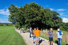 IMG-20220903-WA0034